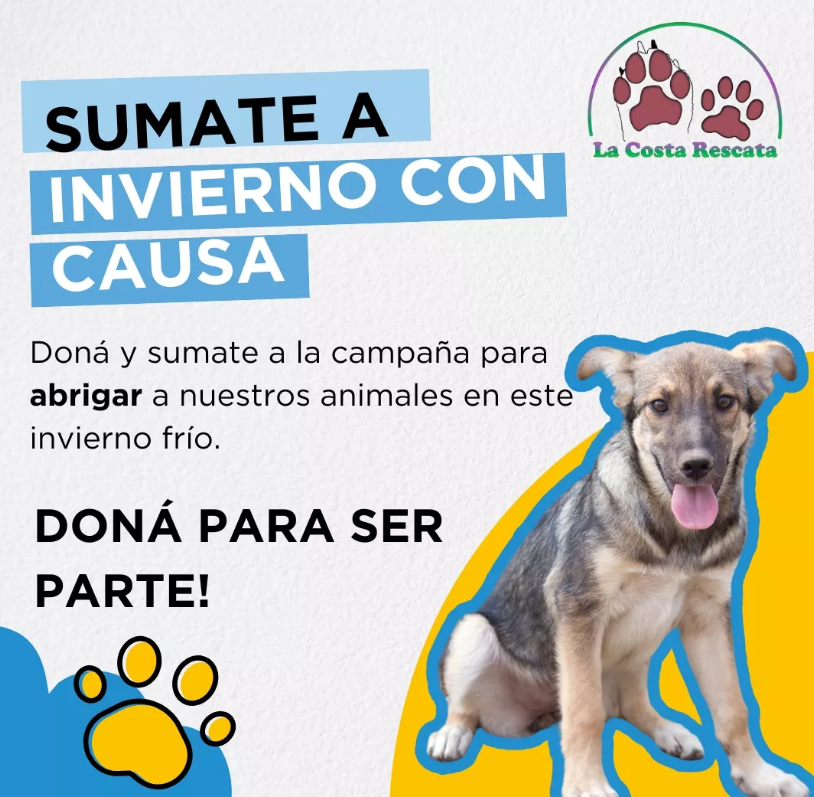 Foto principal del post (Cómo puedes ayudar a los animales en necesidad durante el invierno)