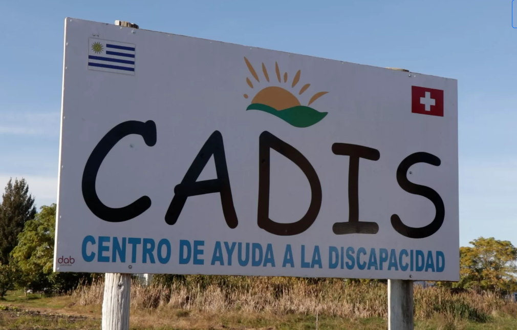 Foto principal del post (La agricultura como herramienta de empoderamiento para personas con discapacidad)