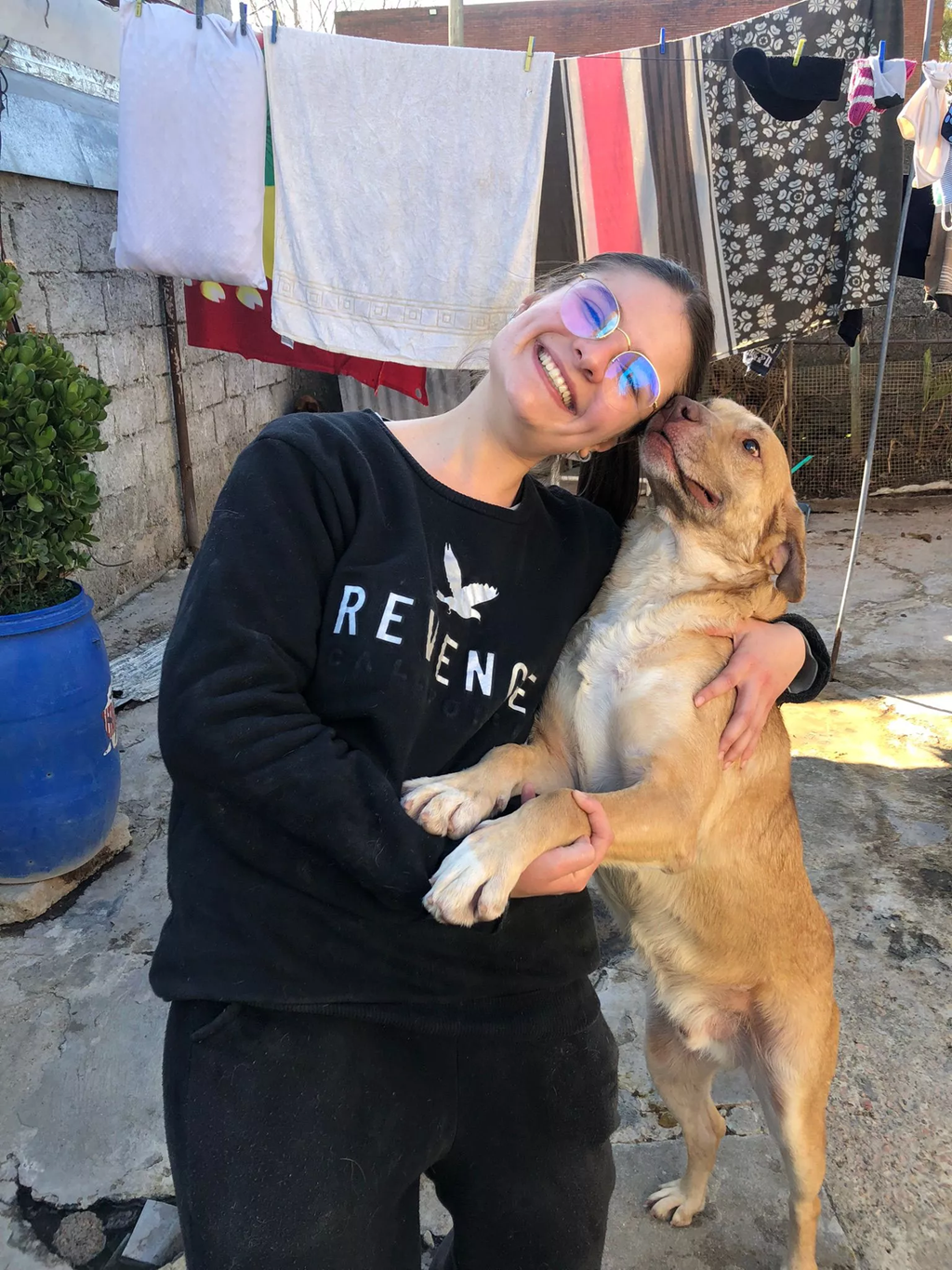 Foto principal del post (Maneras de apoyar refugios de animales locales)