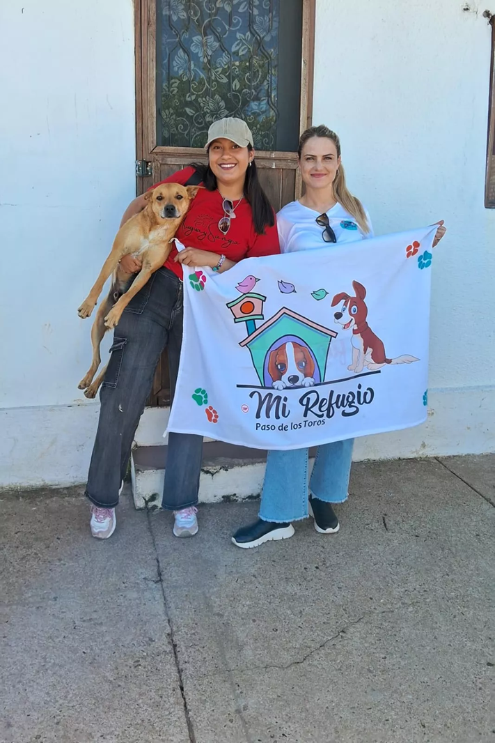 Foto principal del post (Abogar por el cambio: cómo involucrarse en causas sociales)