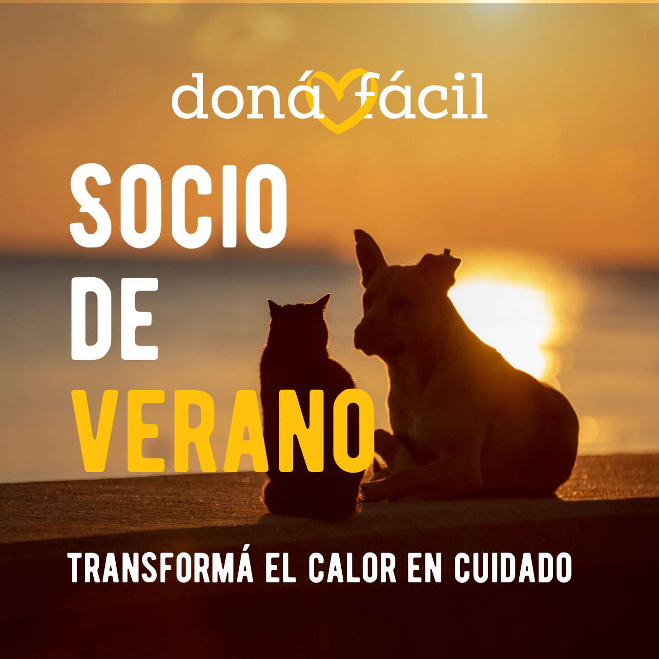 Foto principal de Hacete Socio de verano y dales un respiro del sol