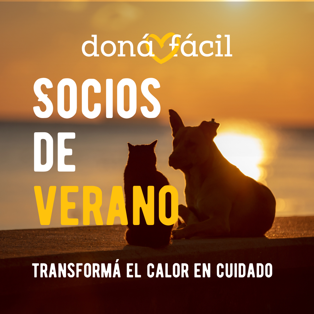 Foto principal del post (Hacete Socio de verano y dales un respiro del sol)