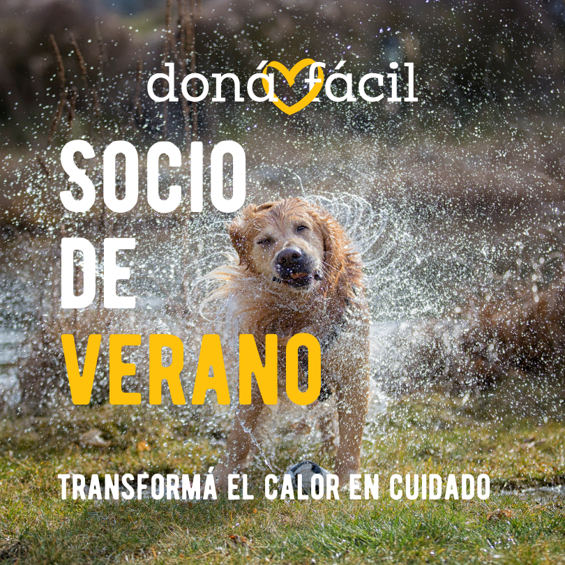 Foto principal de Socios de verano: Las organizaciones que reciben tu donación