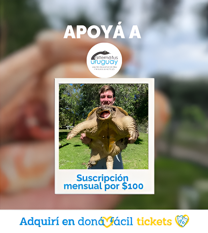 Foto principal del post (Reptiles en la naturaleza y nuestra responsabilidad)