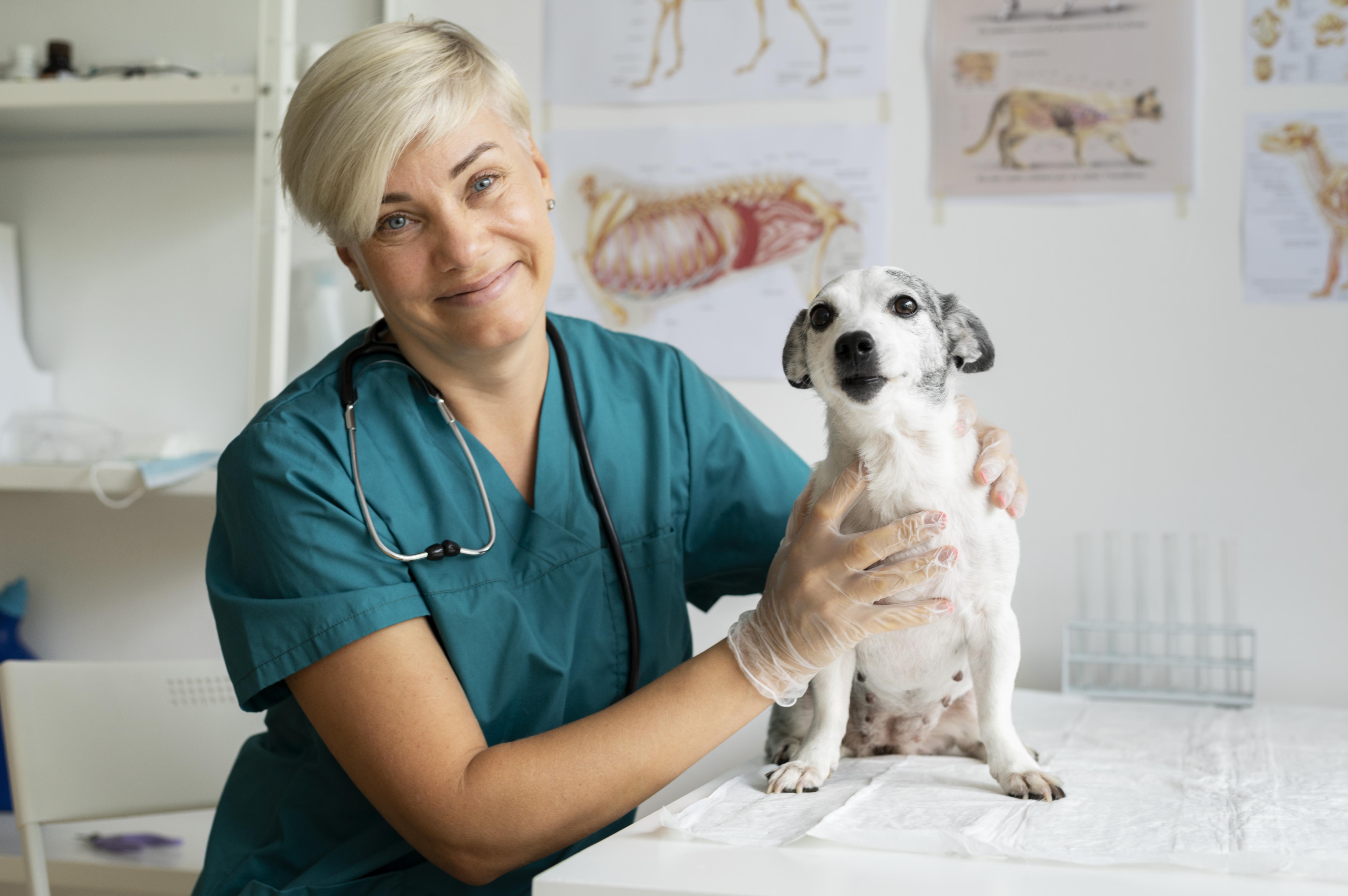 Foto principal del post (El rol de la comunidad en el bienestar animal: salvar vidas con amor y solidaridad)
