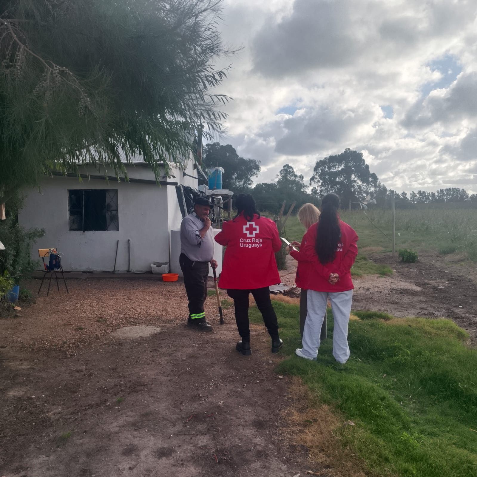 Foto principal del post (El Poder de la Solidaridad: Cómo Pequeñas Acciones Generan Grandes Cambios)