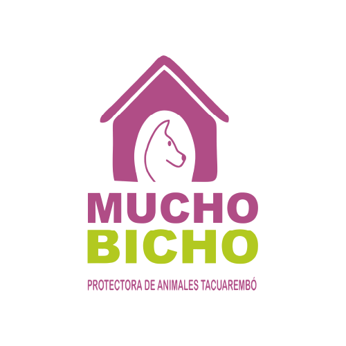 Mucho Bicho Tacuarembó
