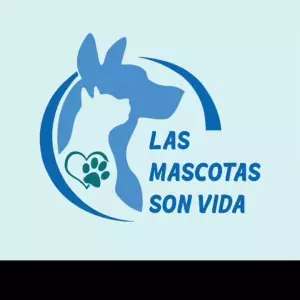 necesitamos nuestra asociacion en salto