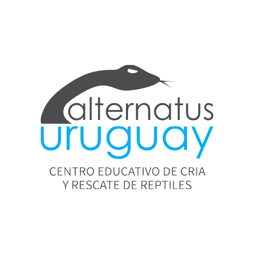 ALTERNATUS URUGUAY