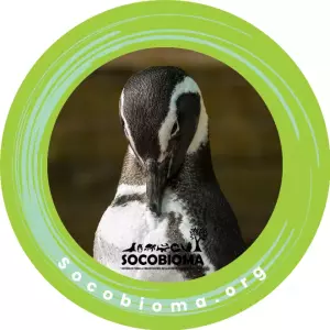 Tu ayuda nos permite seguir rescatando a nuestra fauna silvestre.