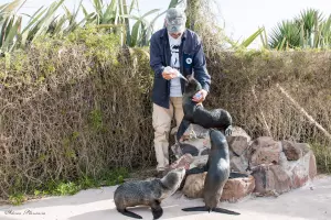 Tu ayuda hoy salva vidas marinas