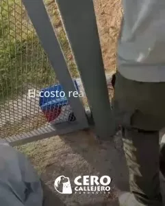 el-abandono-irresponsable-es-una-urgencia-hWt1ve