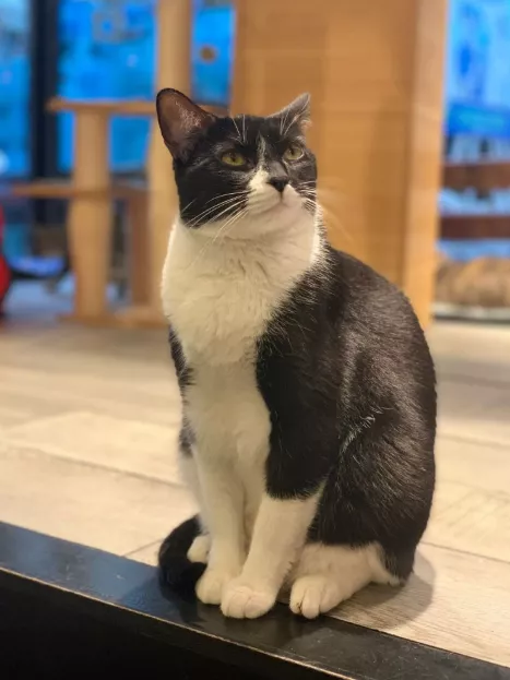 juntos-podemos-salvar-mas-vidas-SY0jLo