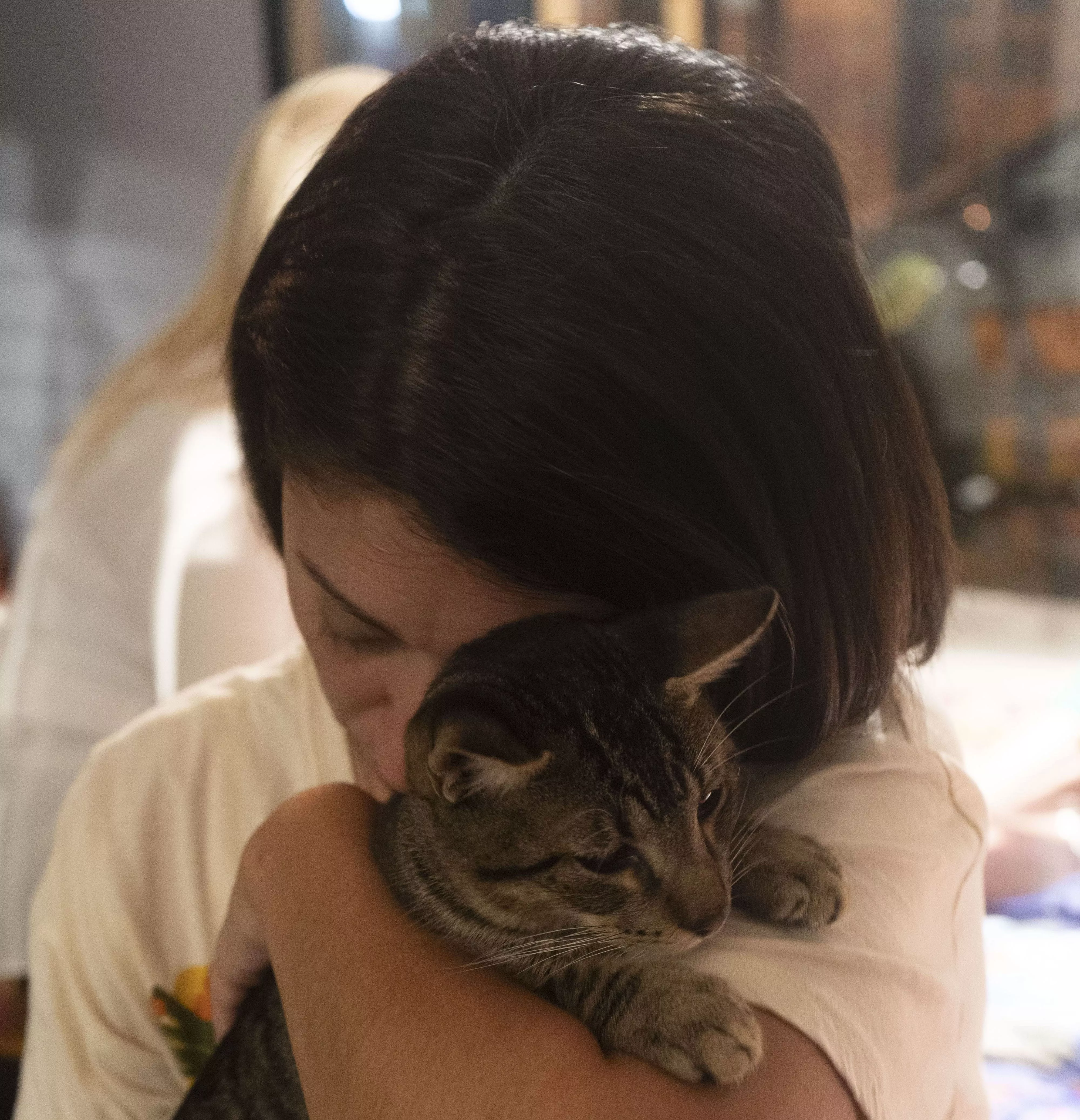 juntos-podemos-salvar-mas-vidas-SY0jLo