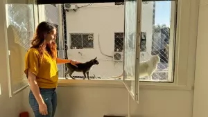 Burakeras Asistencia Gatuna te necesita