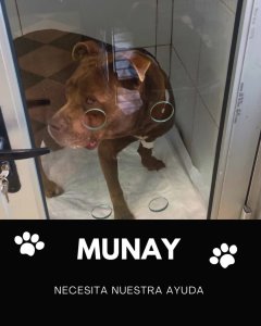 Tu apoyo puede darle una oportunidad a Munay