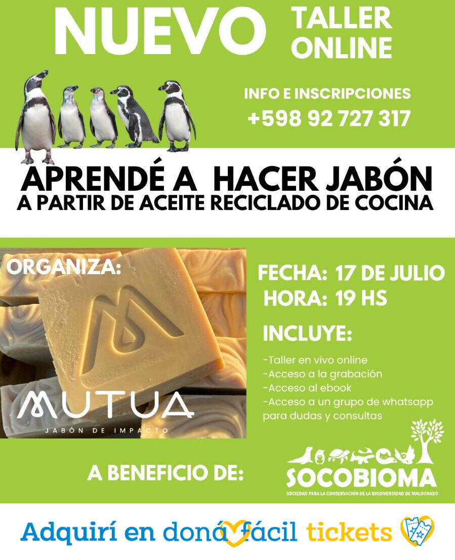 Taller online de fabricación de jabón
