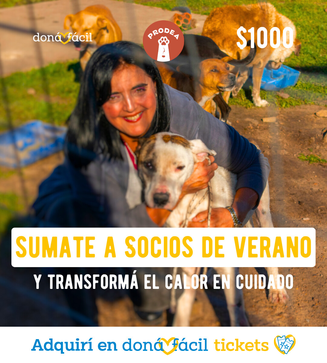 Socios de verano - PRODEA - $1000